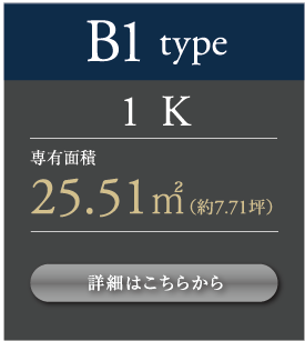 B1type