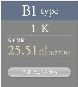 B1type